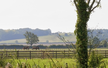 Results Released of the Largest and Most In-Depth Study into UK Public Attitudes Towards Horse Sport and Equine Welfare Results Released of the Largest and Most In-Depth Study into UK Public Attitudes Towards Horse Sport and Equine Welfare